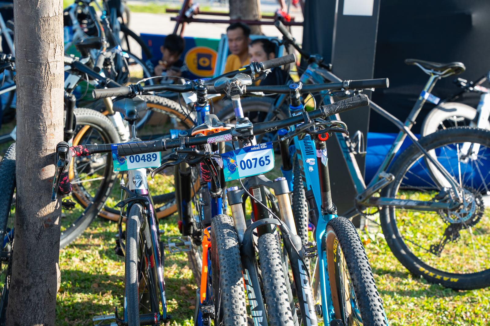 Bikes with rider numbers attached
