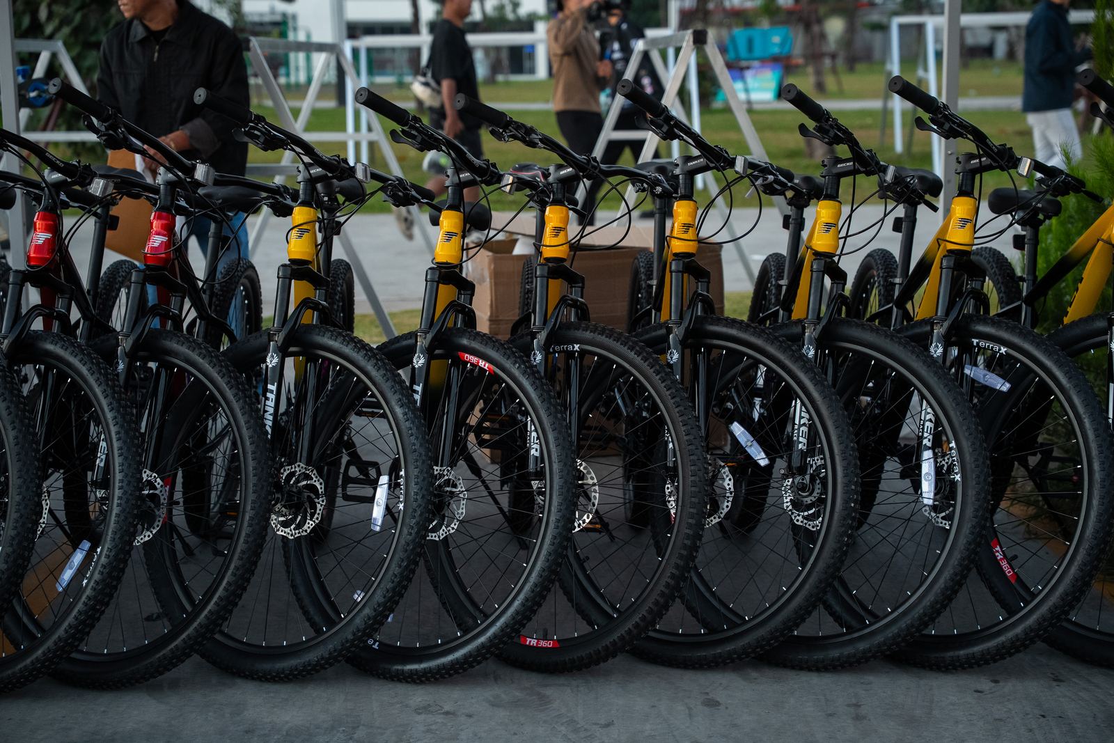 A row of bikes ready to ride